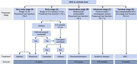 bclc hcc guidelines